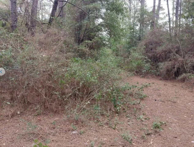 $10,900 | 30810 South Papoose Drive, Hempstead, TX 77445