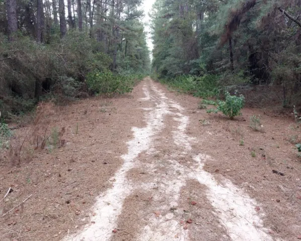 $10,900 | 30810 South Papoose Drive, Hempstead, TX 77445