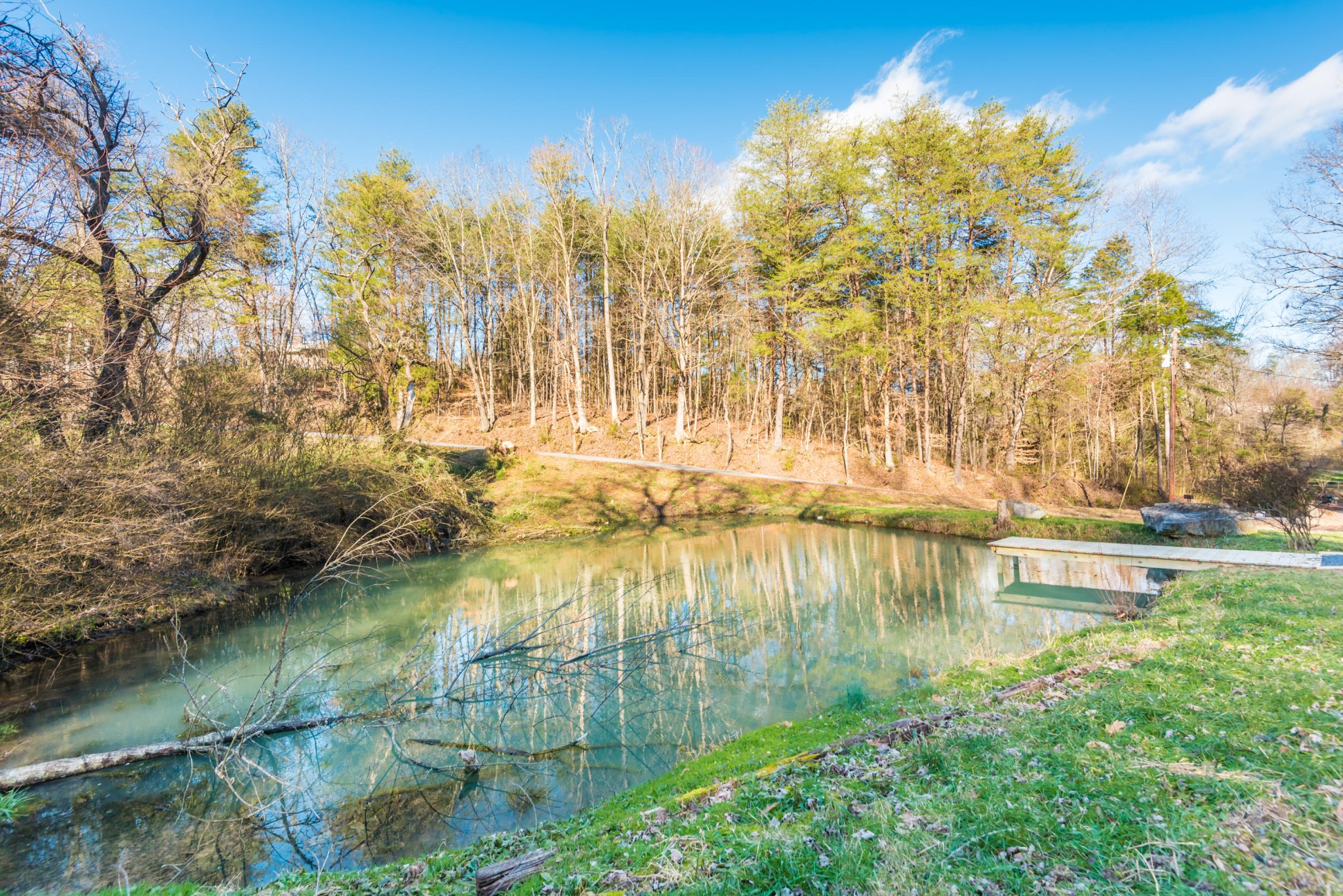 9825 Chestnut Ridge Road Heiskell, TN 37754 - Photo 5 of 32 a view of yard with green space