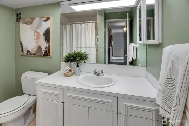 a bathroom with a sink and a toilet