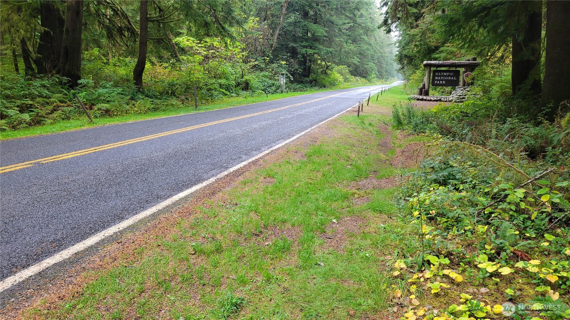 2619 Mora Road Forks, WA 98331 - Photo 4 of 17