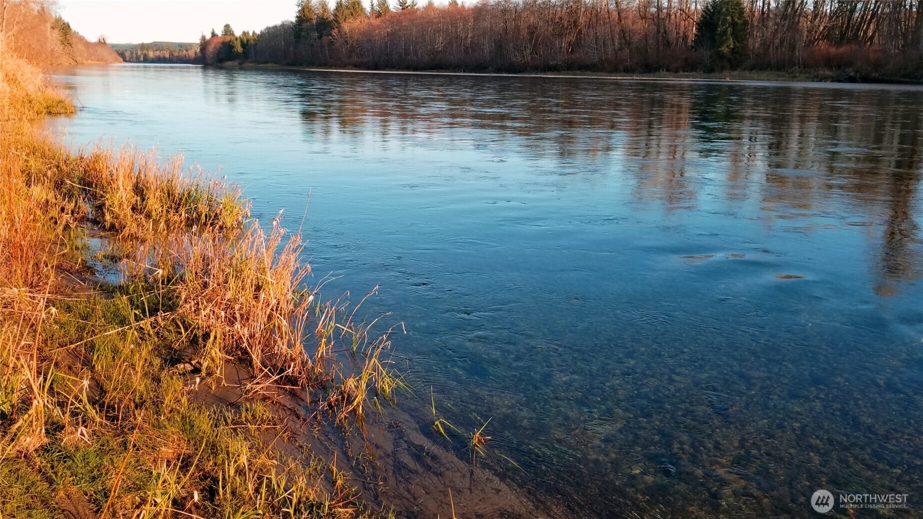 2619 Mora Road Forks, WA 98331 - Photo 5 of 17