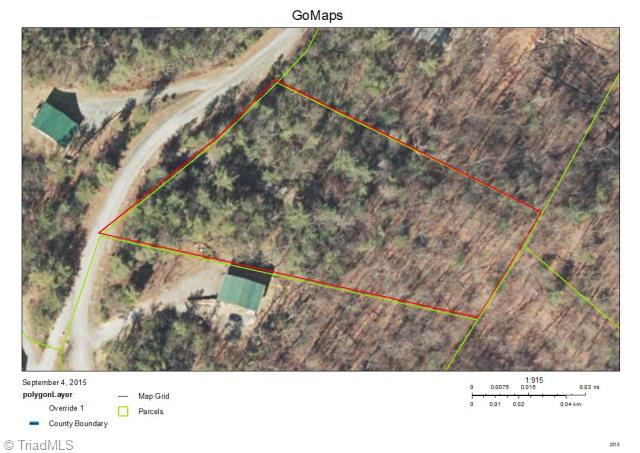 Lt86 Buck Mountain Road Purlear, NC 28665 - Photo 1 of 1 Main View