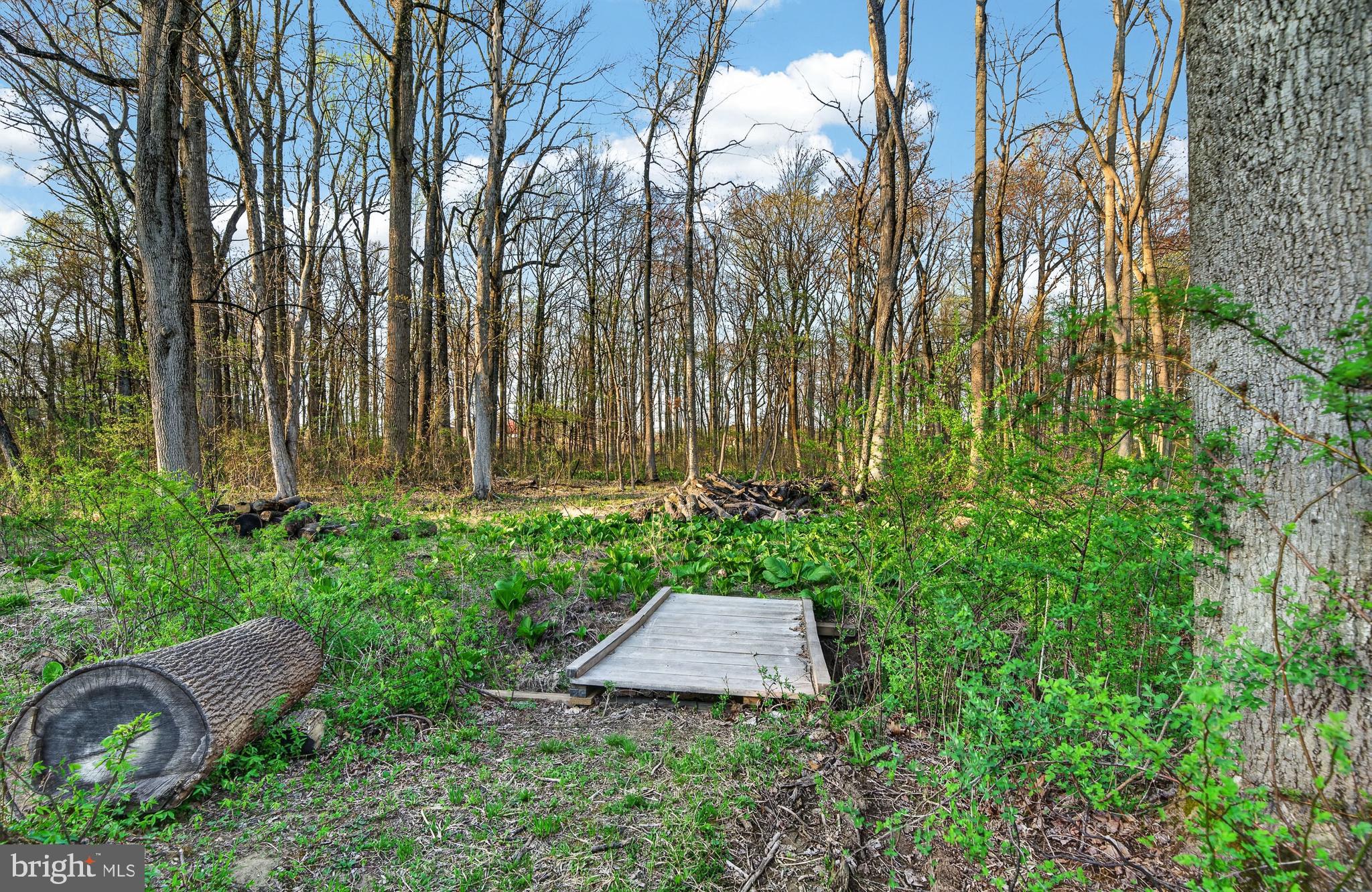 509 Baldy Hill Road Alburtis, PA 18011 - Photo 42 of 51
