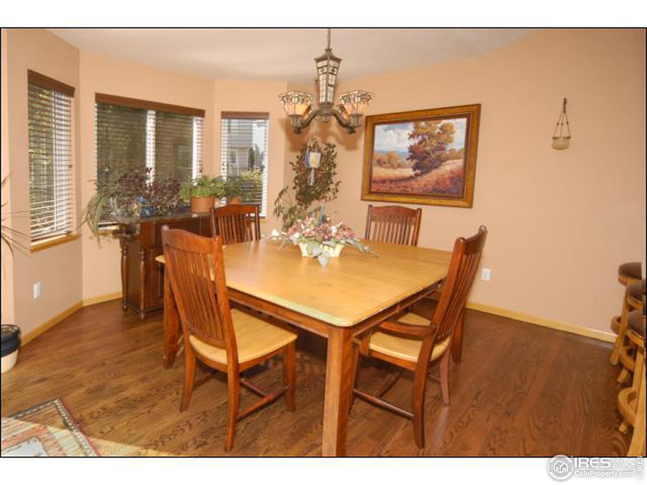 437 Flagler Road Fort Collins, CO 80525 - Photo 5 of 13 Gallery Image 5