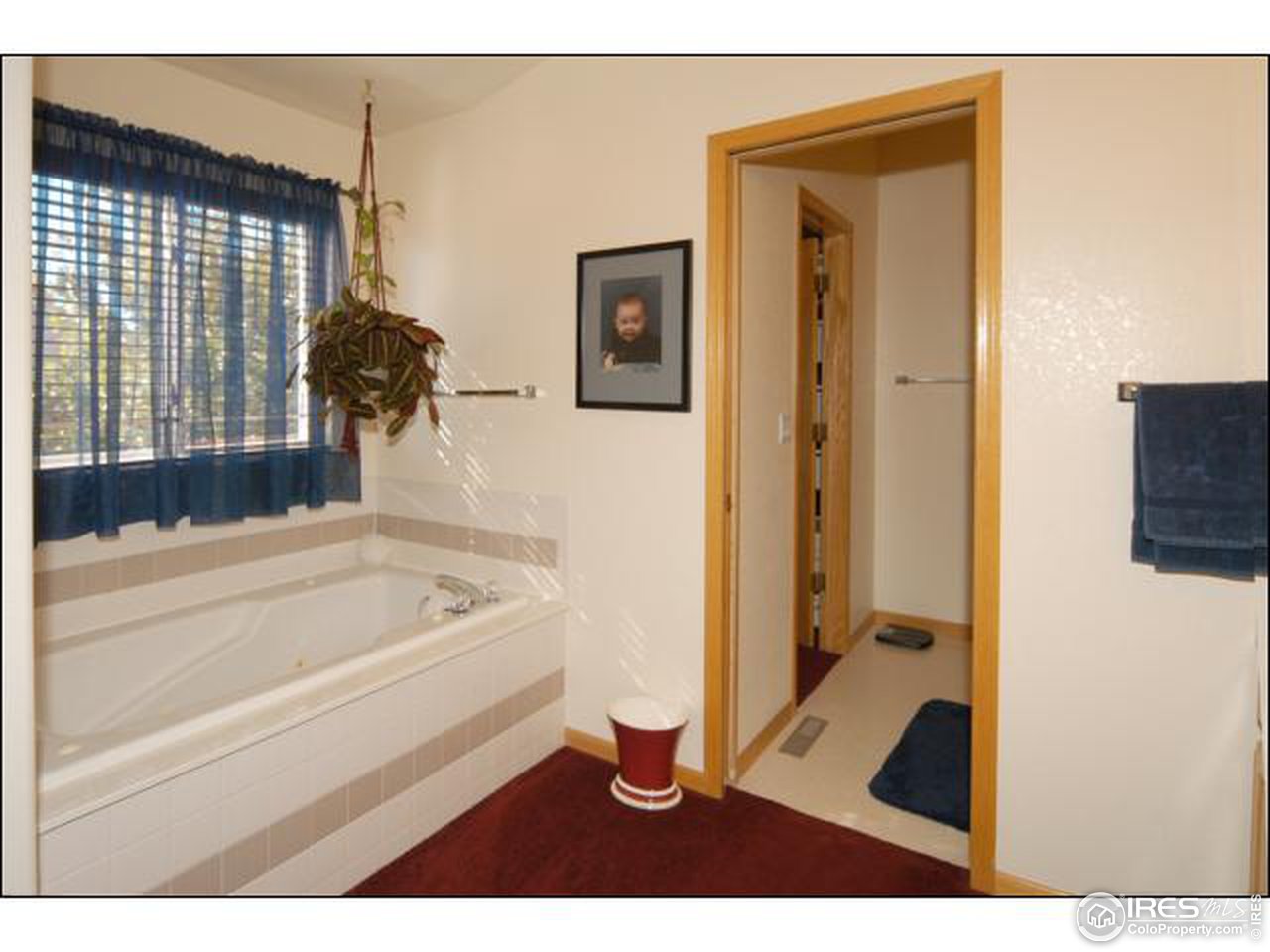 437 Flagler Road Fort Collins, CO 80525 - Photo 9 of 13 Gallery Image 9