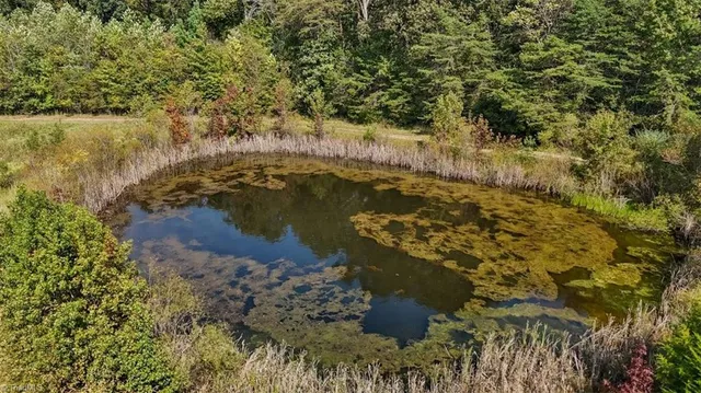 $999,000 | 2385 Clacie Lane, Franklinville, NC 27248