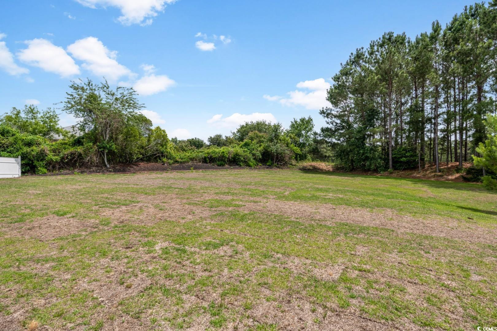 4603 East Walkerton Road Myrtle Beach, SC 29579 - Photo 36 of 40 Gallery Image 36