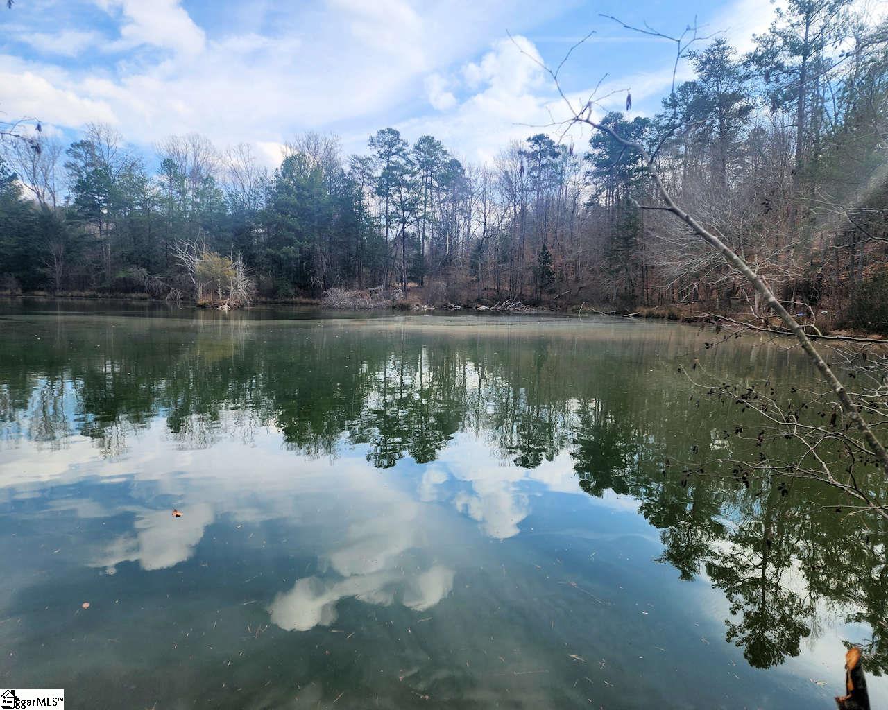 3068 State Rd S-30-40 Gray Court, SC 29645 - Photo 10 of 27