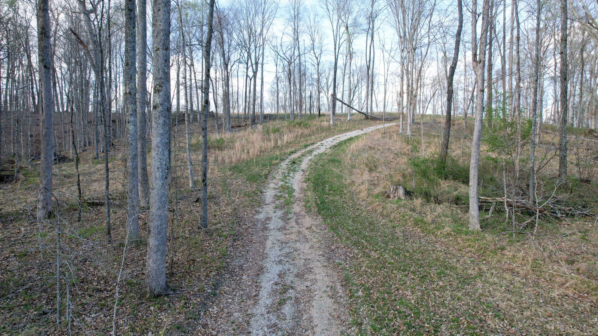 0 Bell Hollow Road Vanleer, TN 37181 - Photo 17 of 31 Gallery Image 17