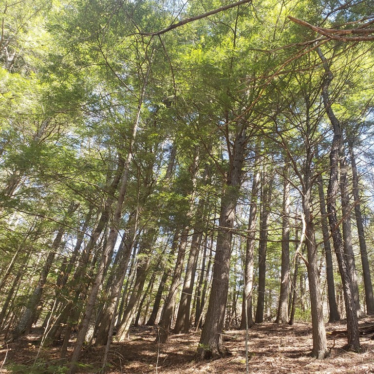 0 Fairgrounds Road Cummington, MA 01026 - Photo 12 of 12 Gallery Image 12