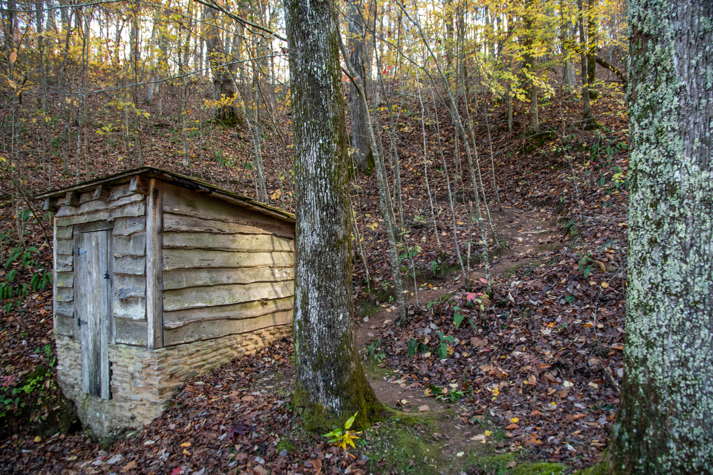 0 Cherokee Knoll Chickamauga, GA 30707 - Photo 50 of 82 Cloudland-38