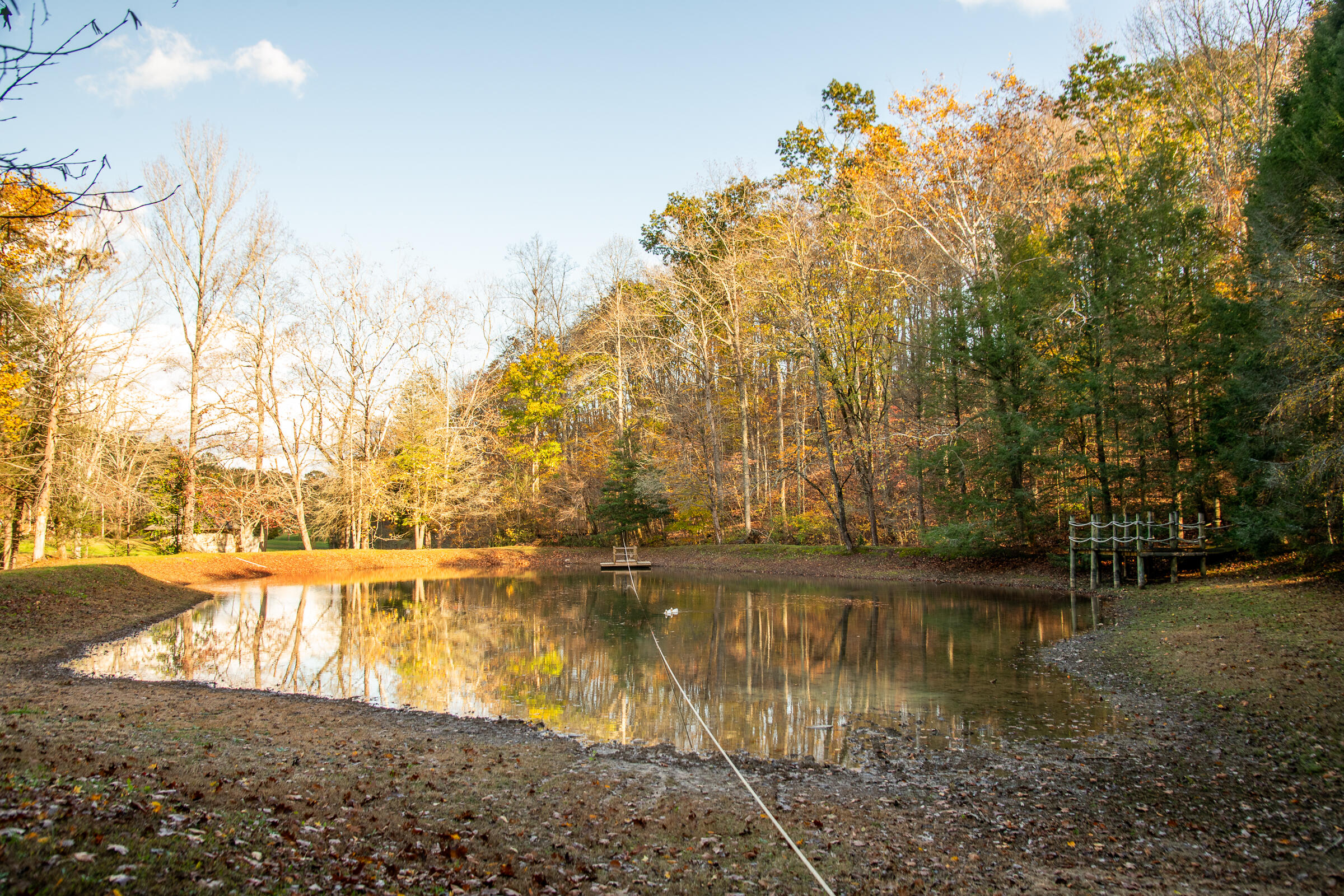 0 Cherokee Knoll Chickamauga, GA 30707 - Photo 55 of 82 Cloudland-49