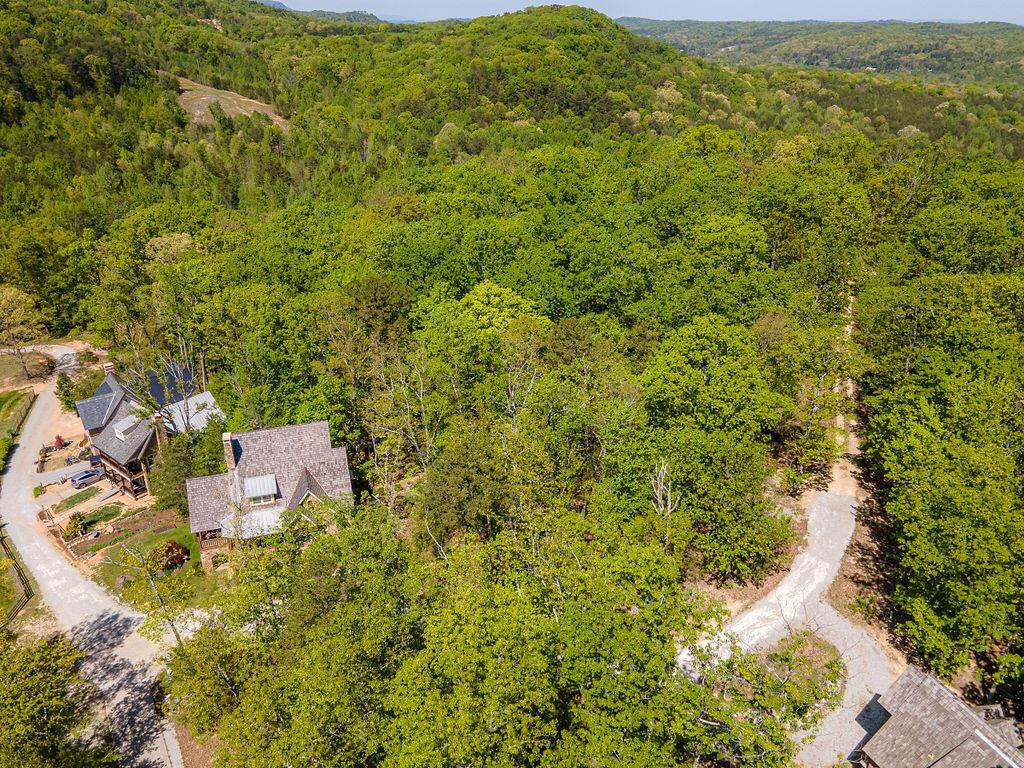 0 Cherokee Knoll Chickamauga, GA 30707 - Photo 6 of 82 CherokeeKnoll-6