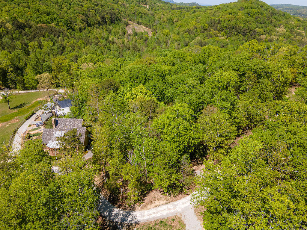 0 Cherokee Knoll Chickamauga, GA 30707 - Photo 7 of 82 CherokeeKnoll-7