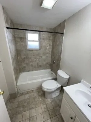 a bathroom with a sink a toilet a mirror and a bathtub