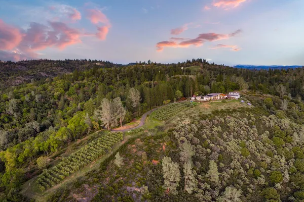 $1,749,999 | 984 Crestview Drive, Murphys, CA 95247