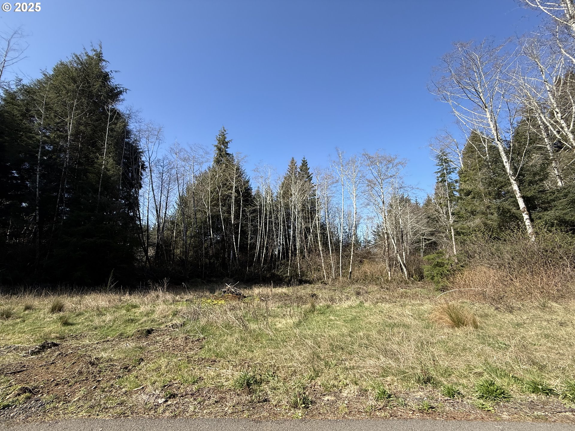 3 Cinnabar Road, Unit LOT #3 North Bend, OR 97459 - Photo 7 of 10