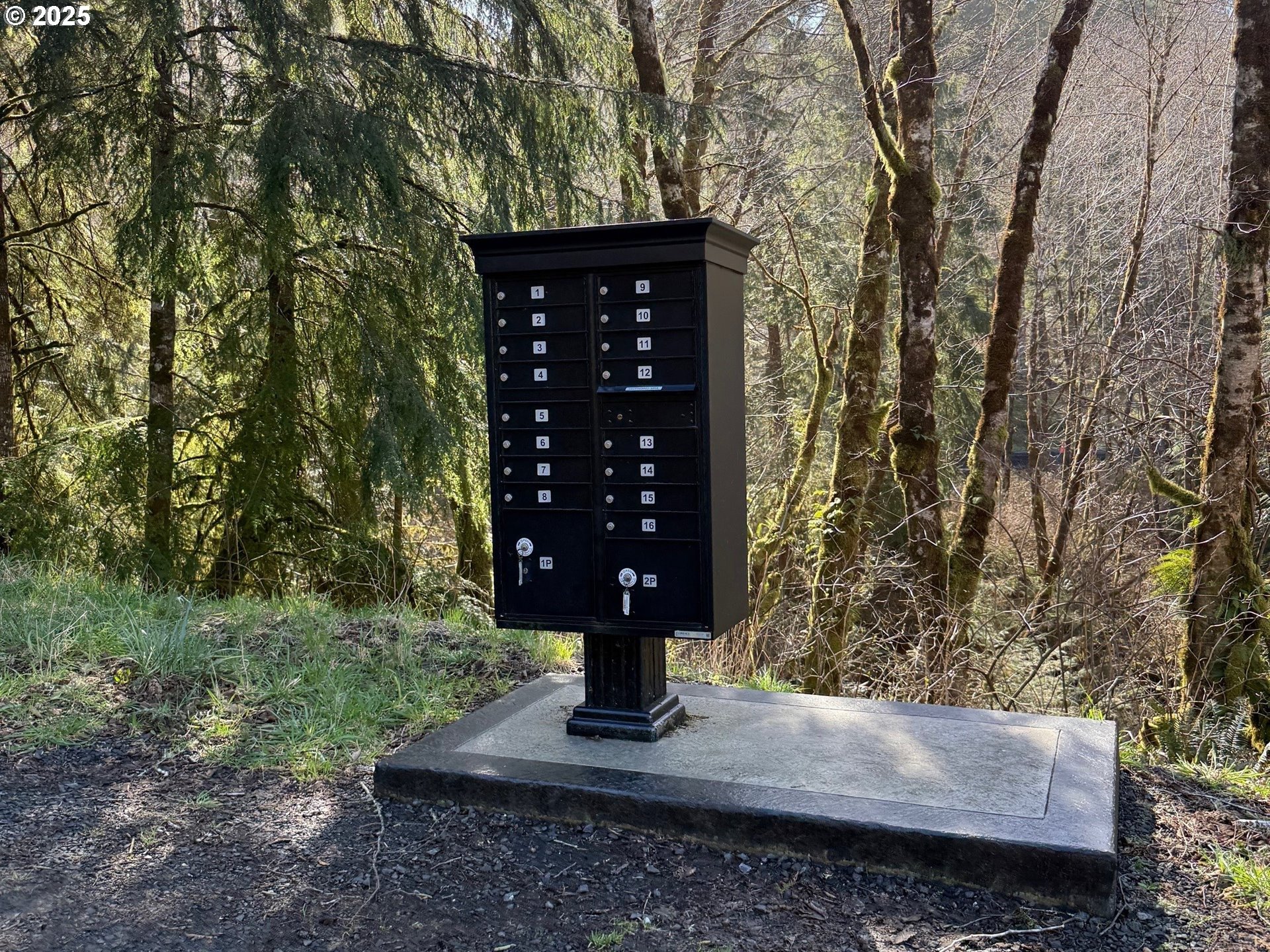 3 Cinnabar Road, Unit LOT #3 North Bend, OR 97459 - Photo 9 of 10