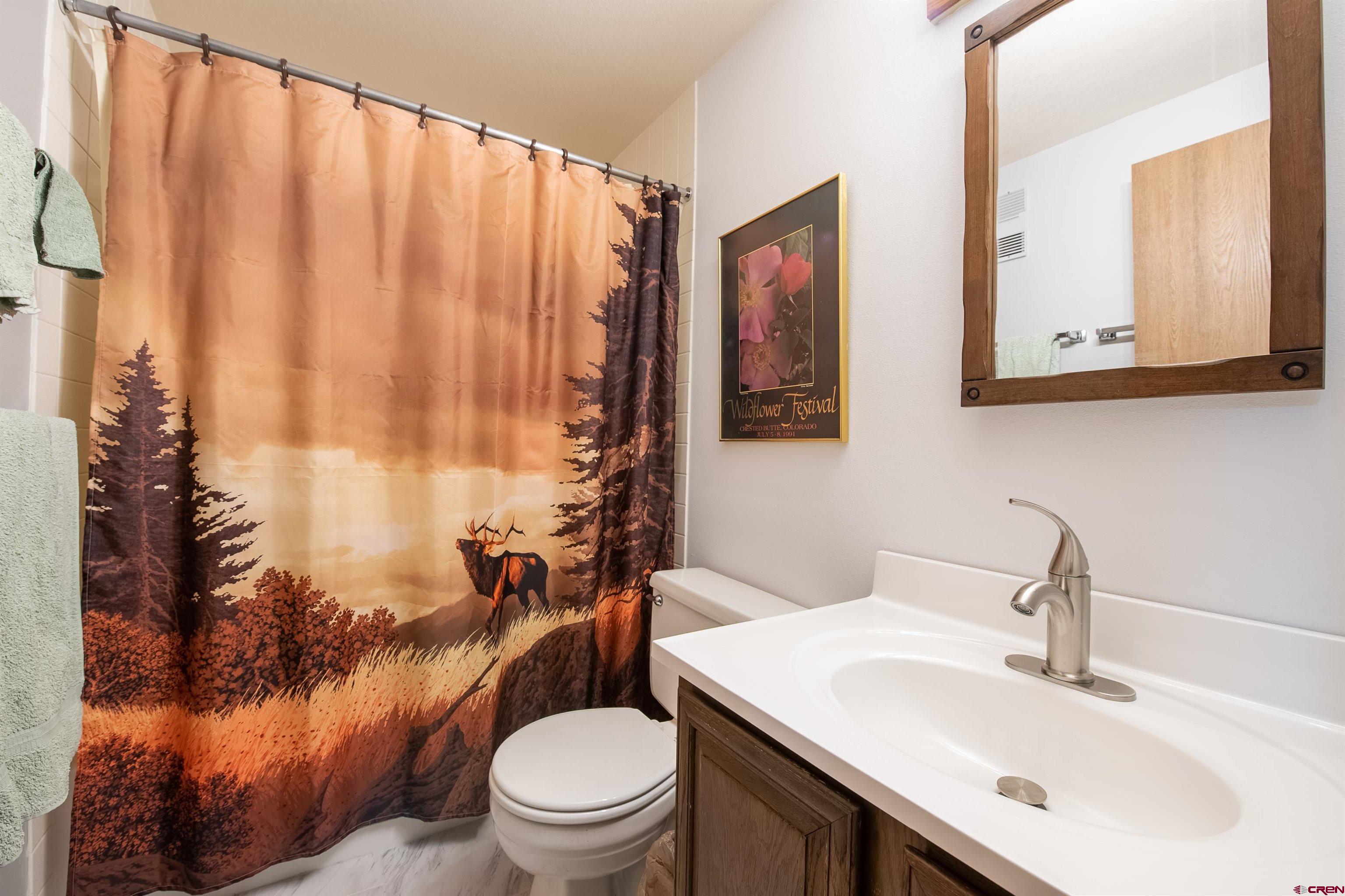 701 Gothic Road, Unit 341 Crested Butte, CO 81225 - Photo 18 of 28 Gallery Image 18