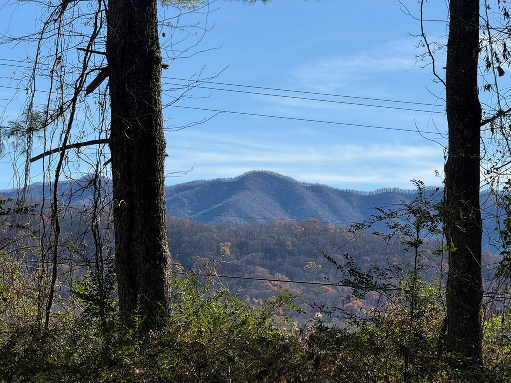 0 Airport Road Andrews, NC 28901 - Photo 12 of 12