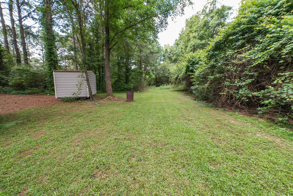 63 Roseanne Loop Hamilton, GA 31811 - Photo 8 of 48 Gallery Image 8