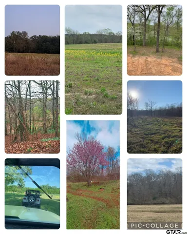 a view of yard from window