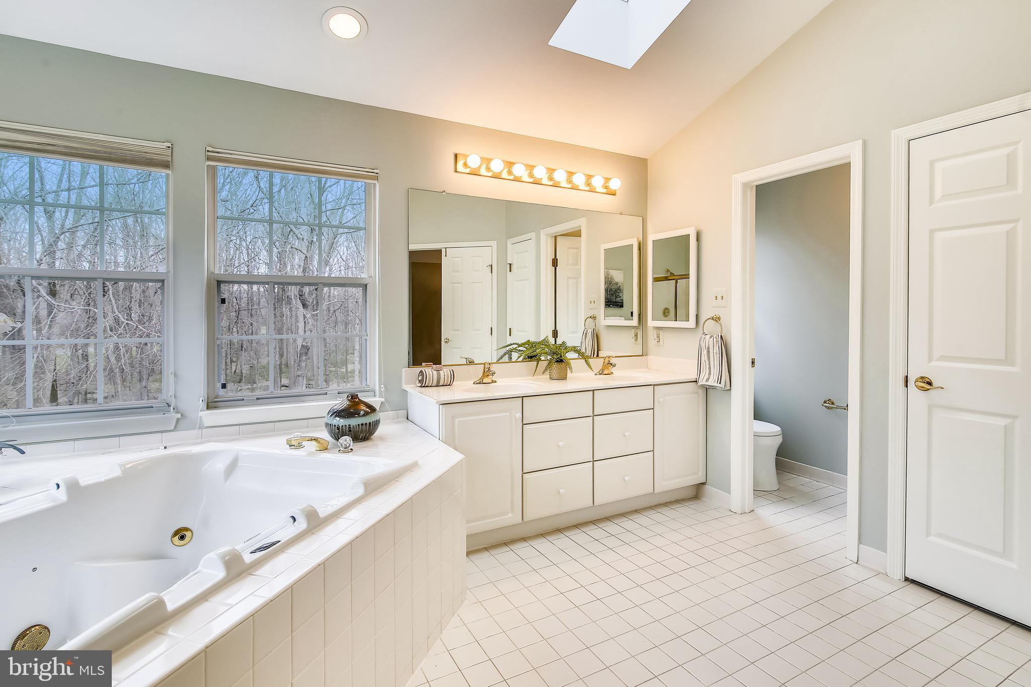 6441 Stream Valley Way Gaithersburg, MD 20882 - Photo 36 of 60 Double Vanity w/New Faucets