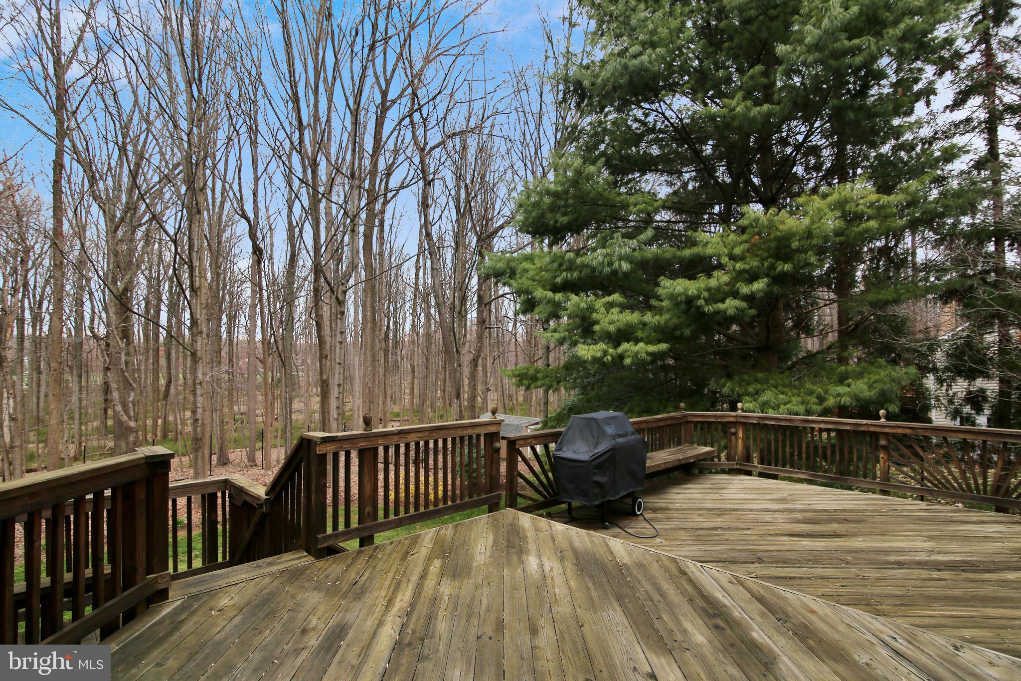 6441 Stream Valley Way Gaithersburg, MD 20882 - Photo 56 of 60 Gallery Image 56