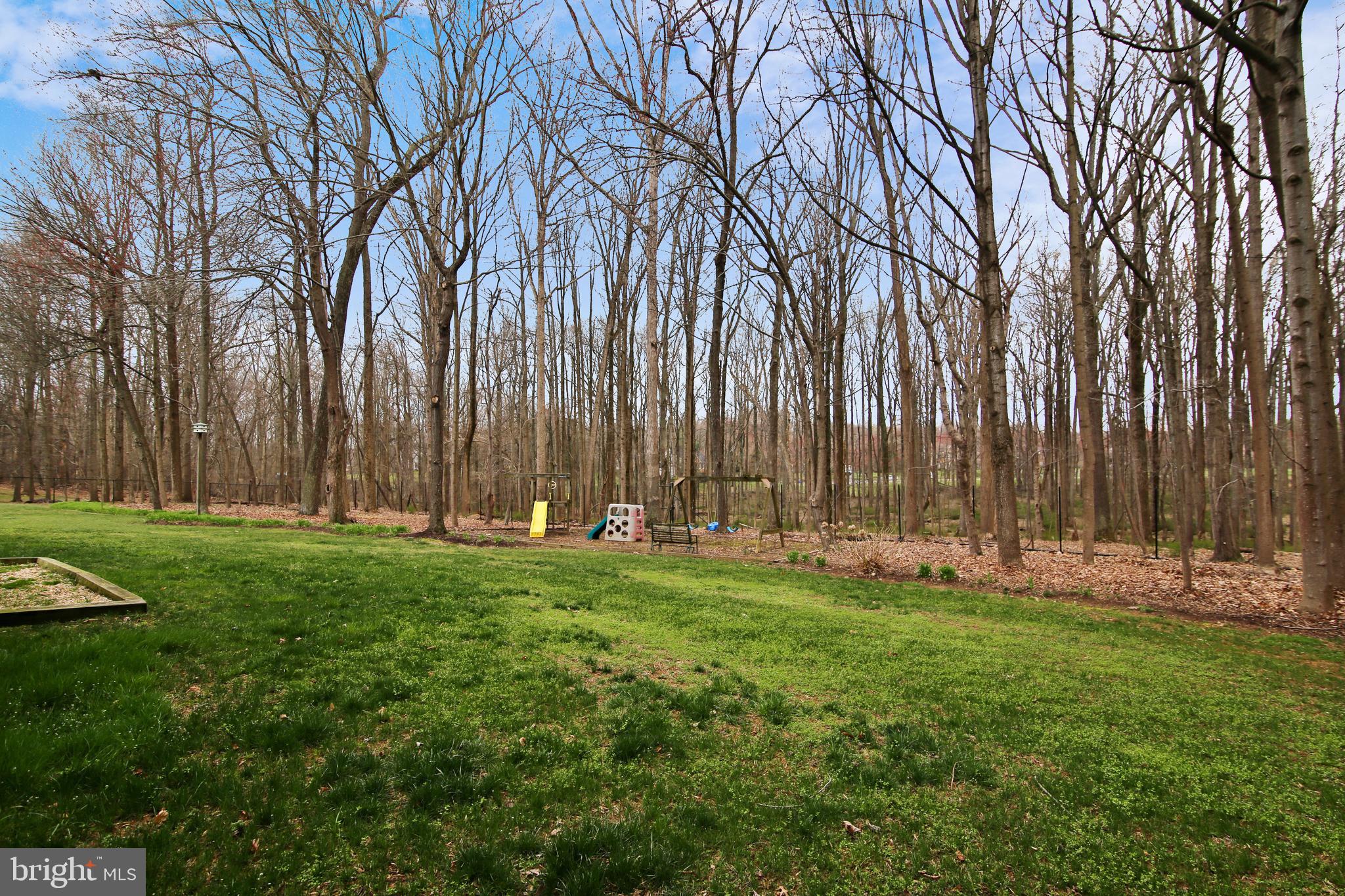 6441 Stream Valley Way Gaithersburg, MD 20882 - Photo 57 of 60 Lots of Green Space