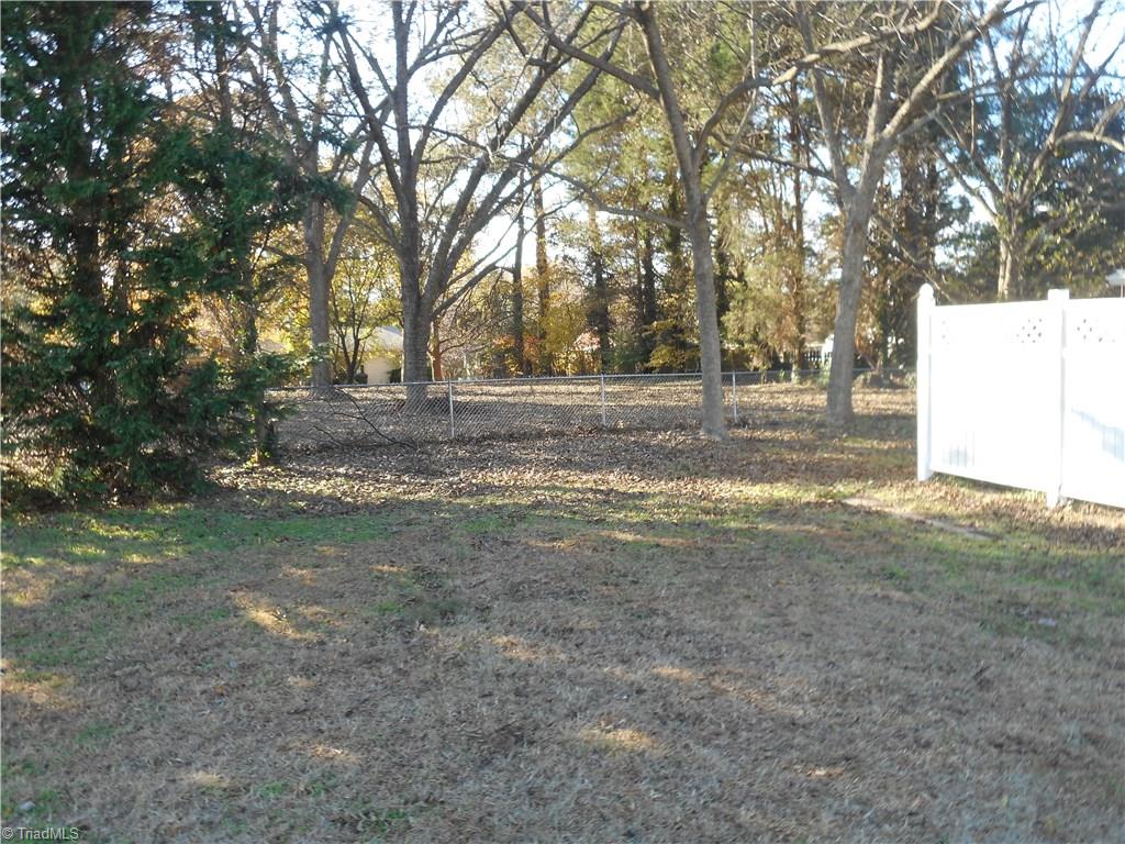 515-517 Oakview Road High Point, NC 27265 - Photo 16 of 29 Back side yard