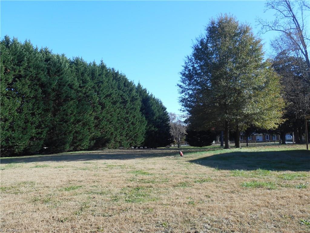 515-517 Oakview Road High Point, NC 27265 - Photo 20 of 29 A view of the side yard