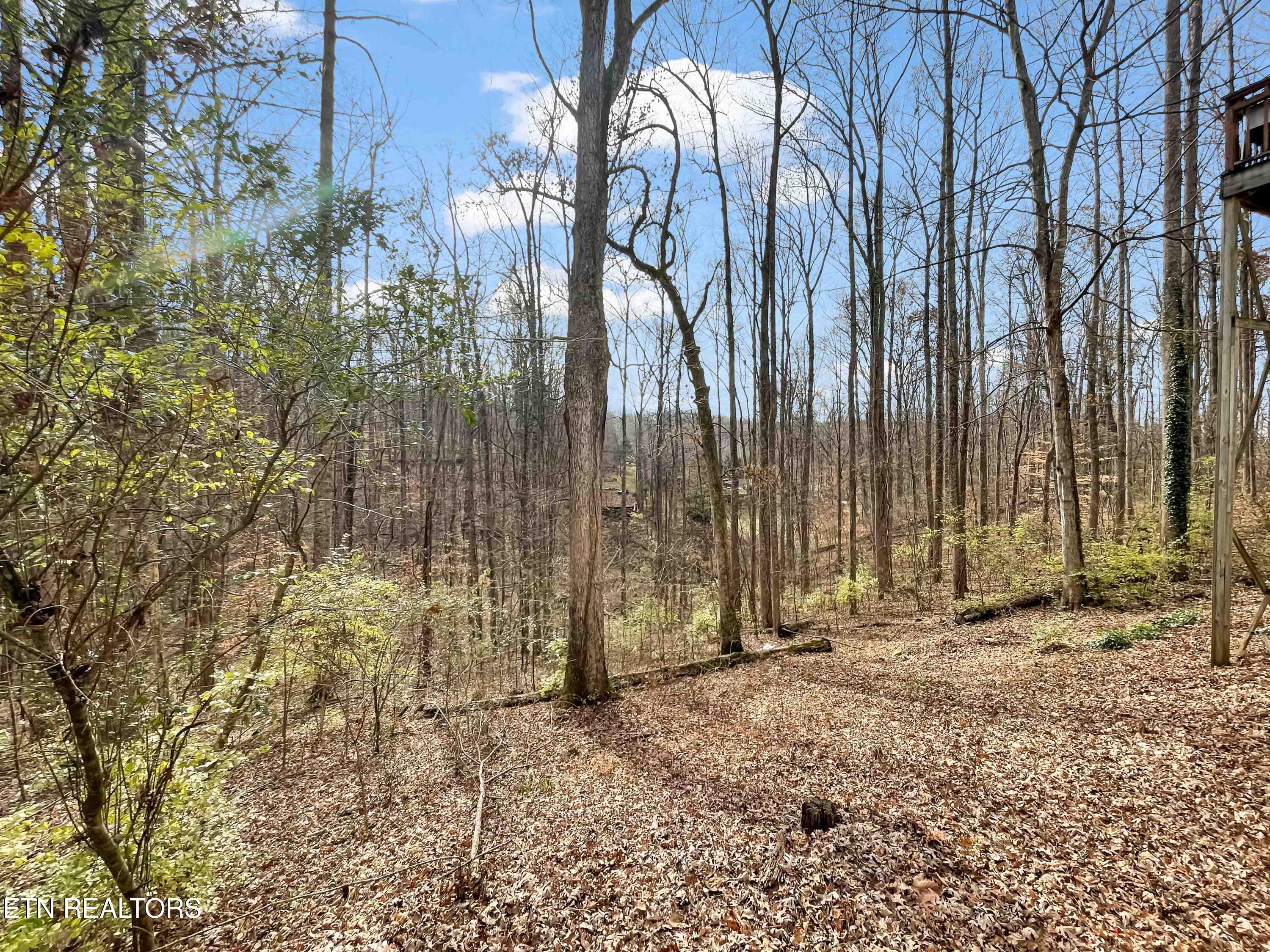 153 Autumn Drive Clinton, TN 37716 - Photo 7 of 29 Privacy