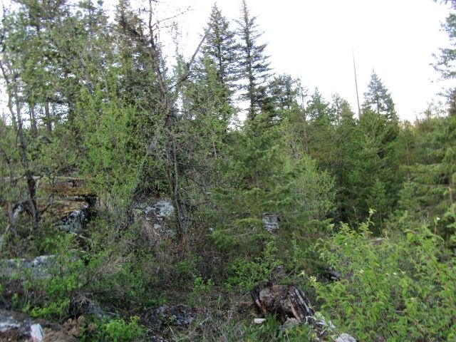 Lot 3 Shale Road Newport, WA 99156 - Photo 4 of 10