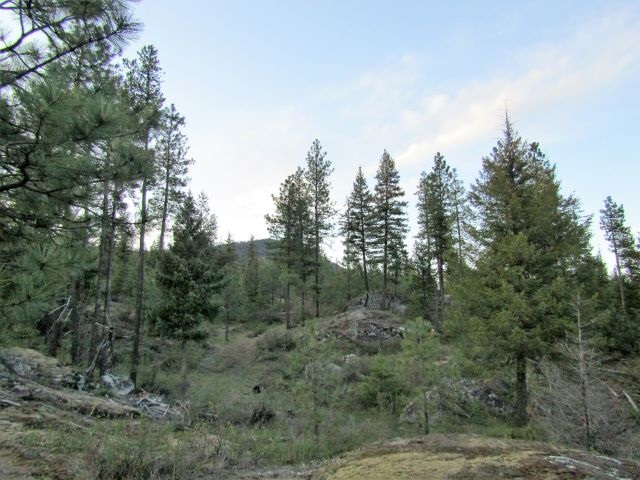 Lot 3 Shale Road Newport, WA 99156 - Photo 5 of 10