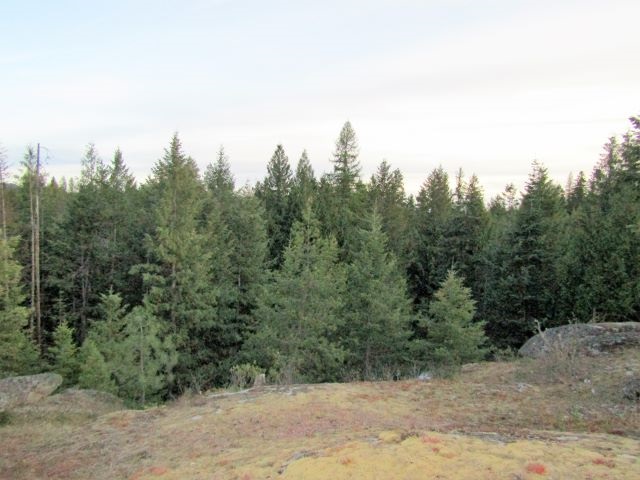 Lot 3 Shale Road Newport, WA 99156 - Photo 7 of 10