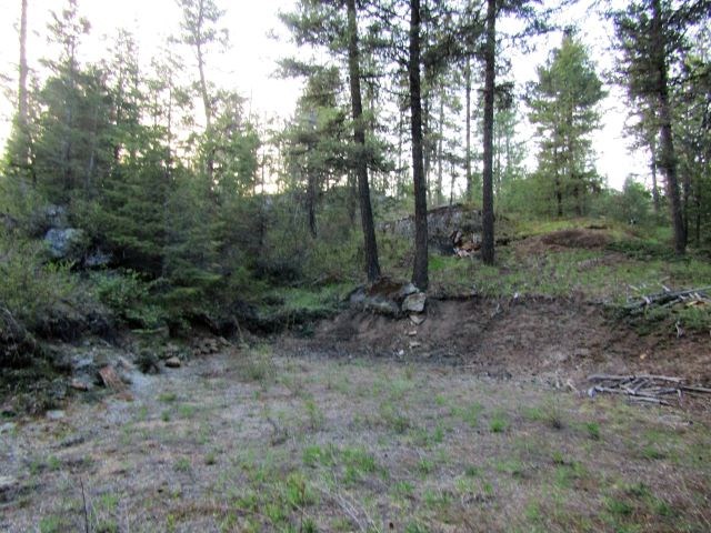 Lot 3 Shale Road Newport, WA 99156 - Photo 8 of 10