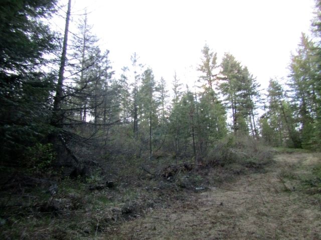 Lot 3 Shale Road Newport, WA 99156 - Photo 9 of 10