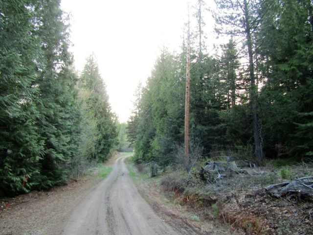 Lot 3 Shale Road Newport, WA 99156 - Photo 10 of 10