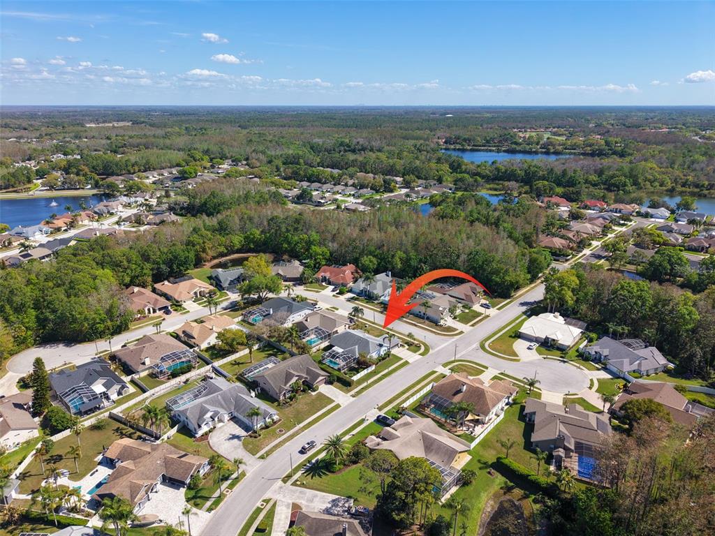 7437 Cheltnam Court New Port Richey, FL 34655 - Photo 51 of 51