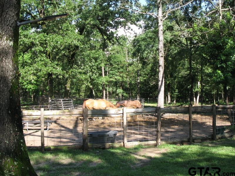 15210 County Road 285 Tyler, TX 75707 - Photo 14 of 33 a view of backyard with green space