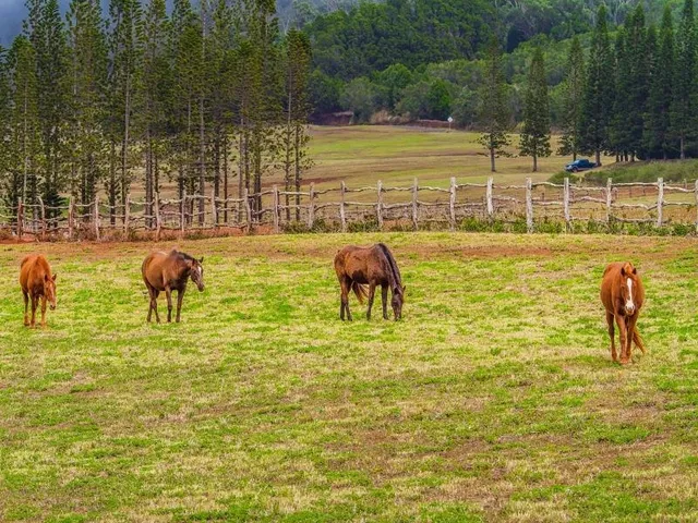 $2,299,000 | 110 Kapihaa Place, Unit LOT 61, Lanai City, HI 96763