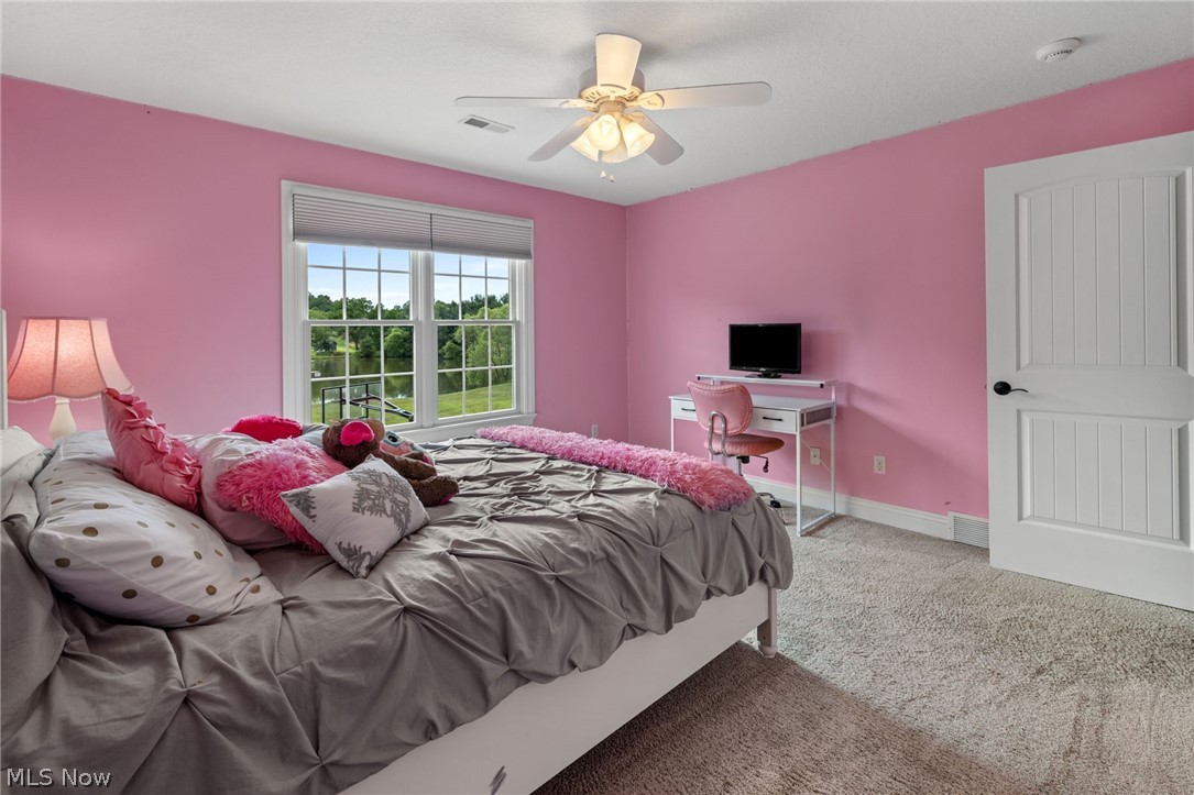 41340 Spring Hill Road Leetonia, OH 44431 - Photo 34 of 50