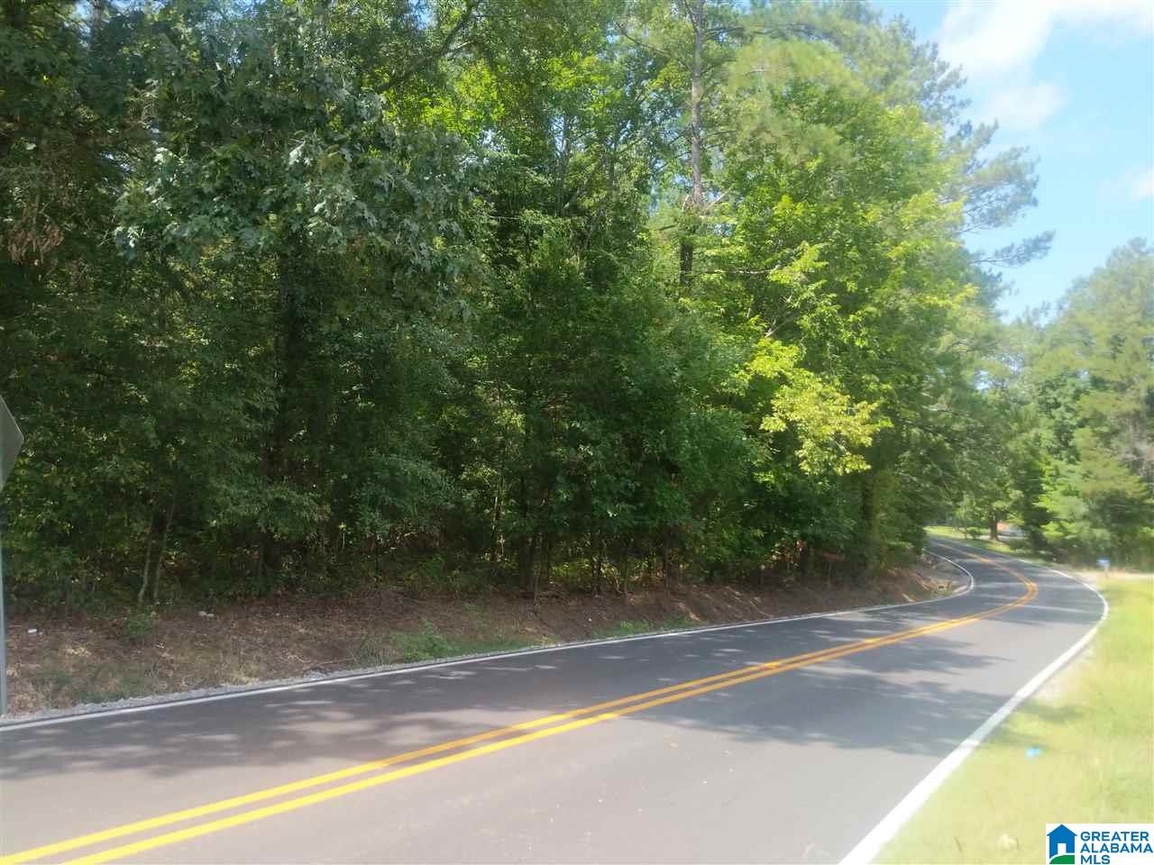 0 Old Broadwell Mill Road Jacksonville, AL 36265 - Photo 22 of 22