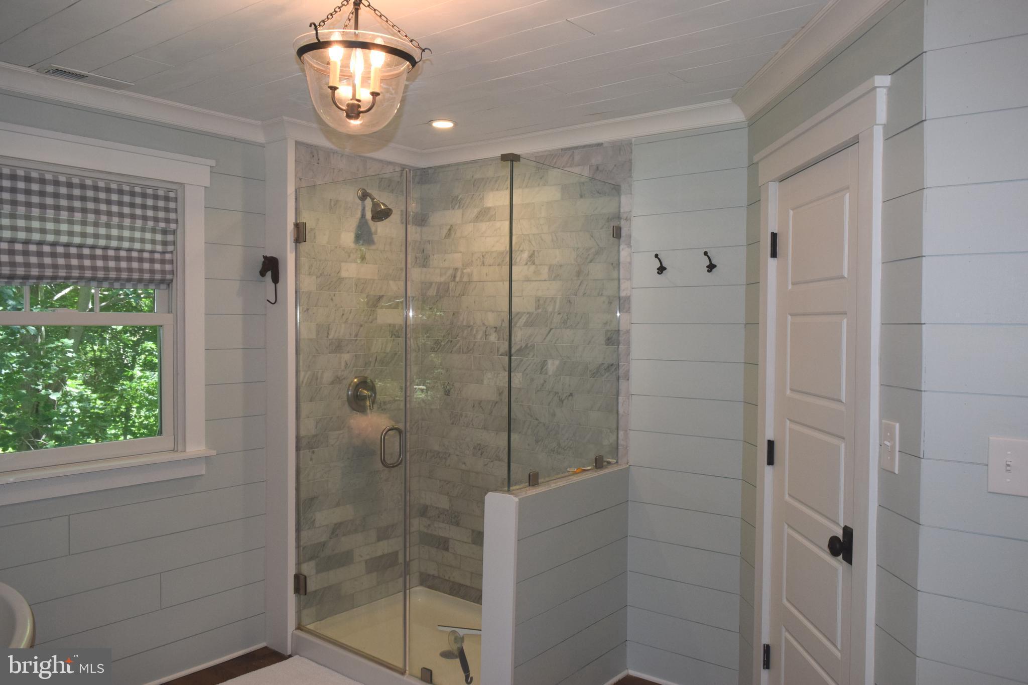 3590 Daisy Road Woodbine, MD 21797 - Photo 30 of 55 Frameless glass shower