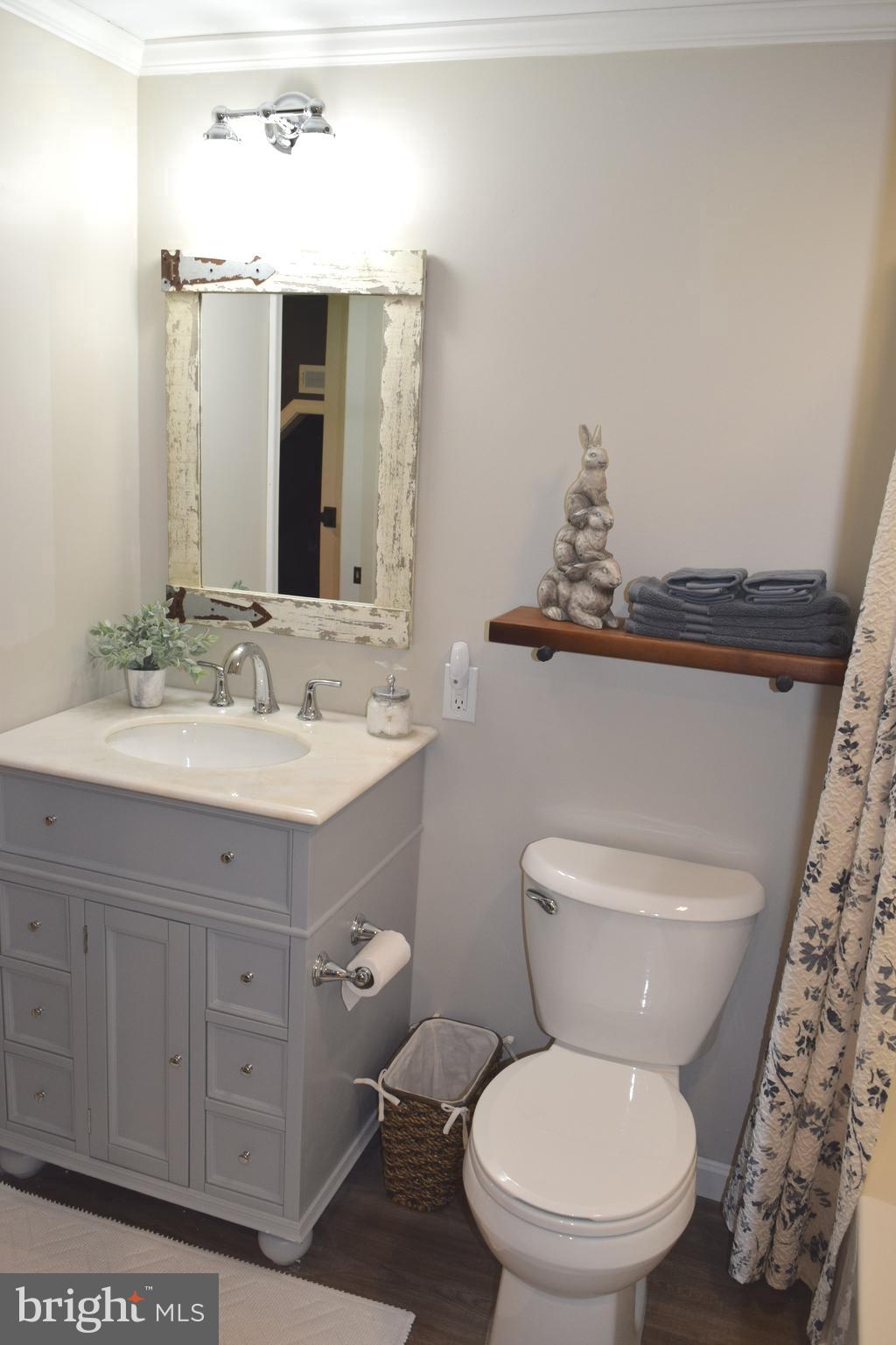 3590 Daisy Road Woodbine, MD 21797 - Photo 42 of 55 Third full bath, in basement