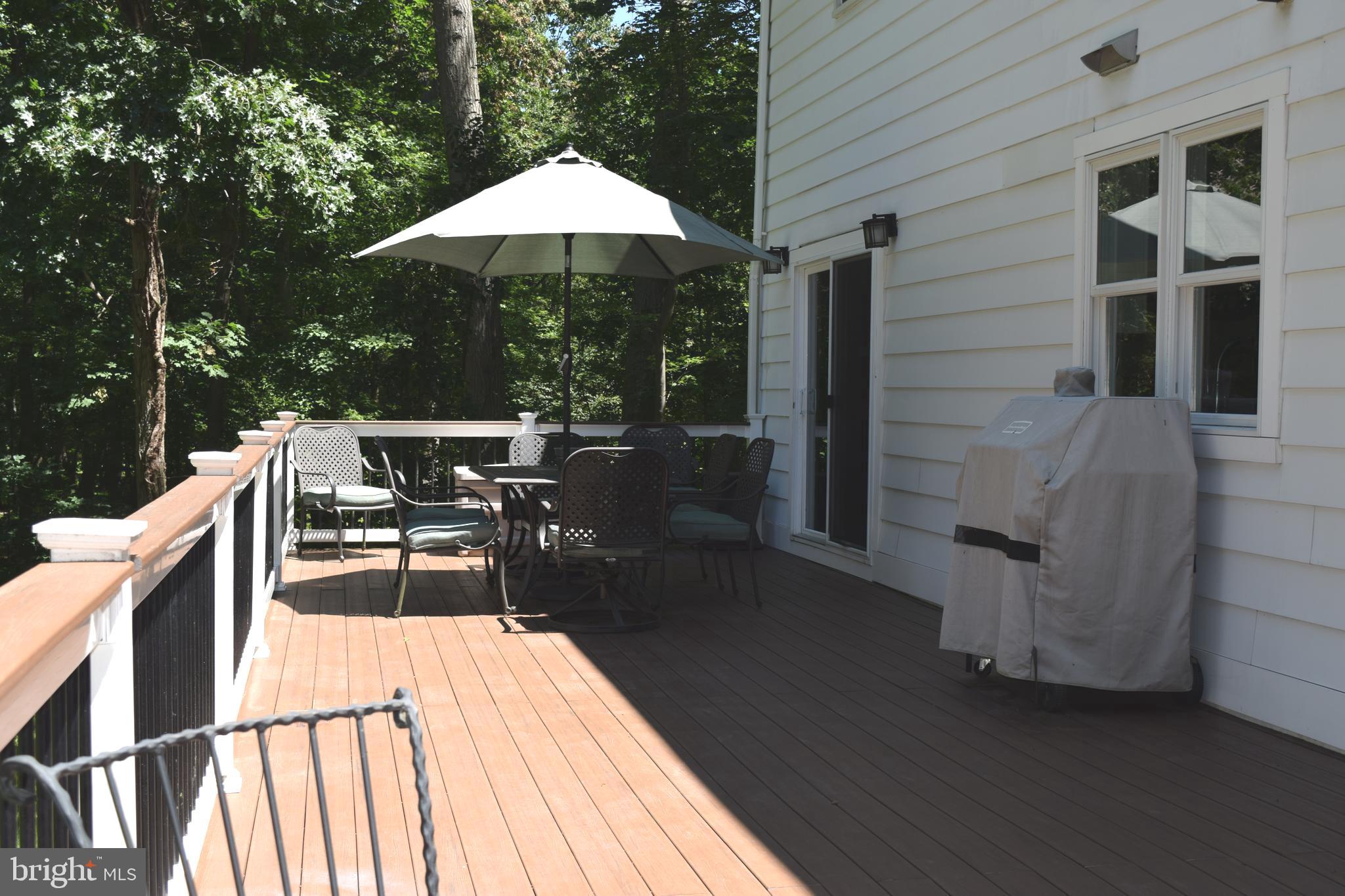 3590 Daisy Road Woodbine, MD 21797 - Photo 45 of 55 New composite decking and stylish railing