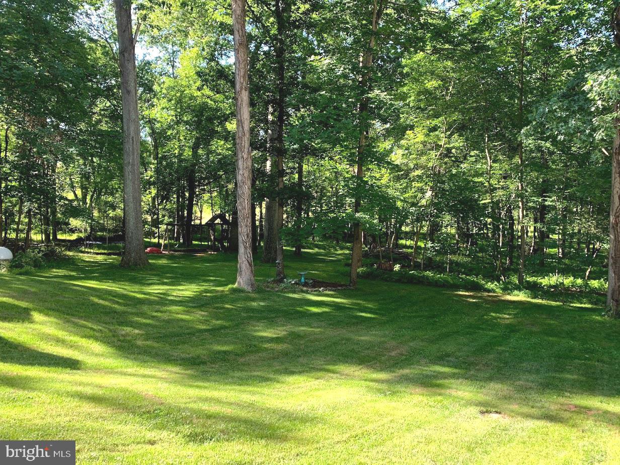 3590 Daisy Road Woodbine, MD 21797 - Photo 53 of 55 Beautiful wooded lot