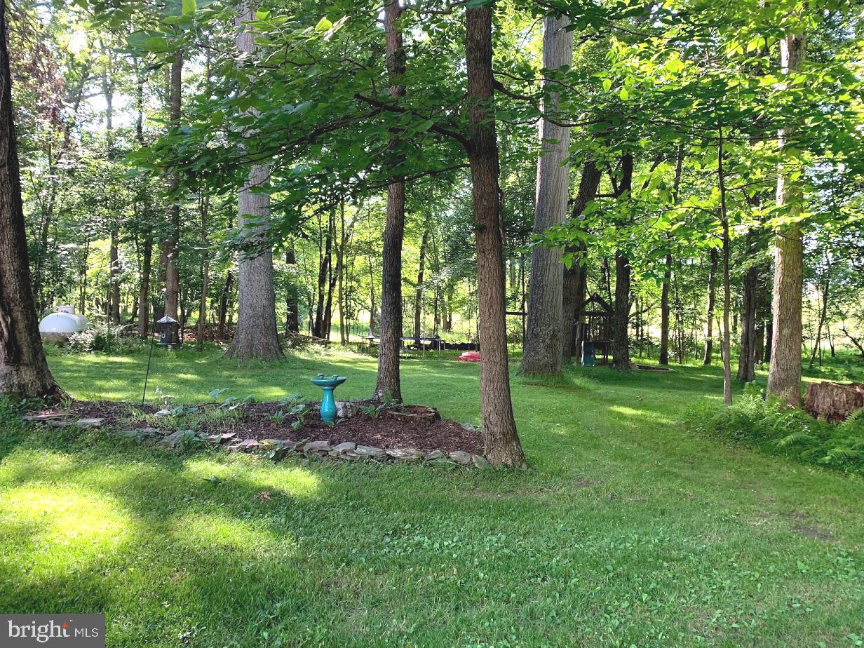 3590 Daisy Road Woodbine, MD 21797 - Photo 54 of 55 Trees and grassy areas too