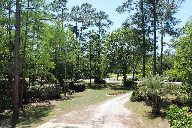 24239 Gulf Bay Road Orange Beach, AL 36561 - Photo 5 of 33
